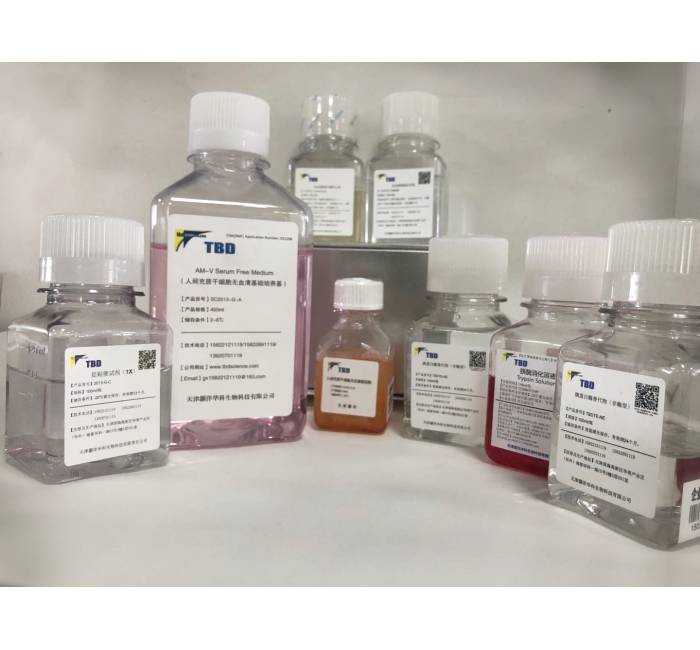 人间充质干细胞无血清培养基套装