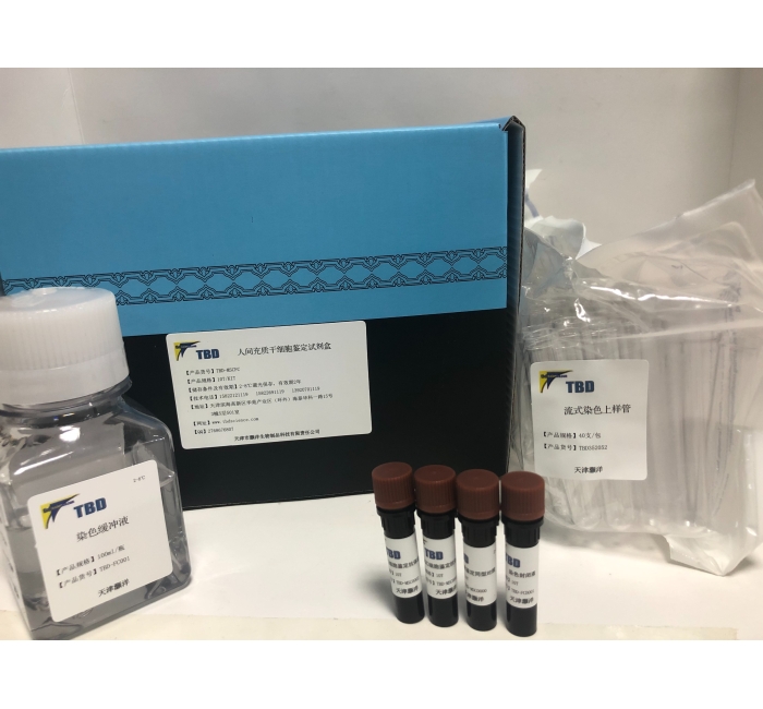 人脐带间充质干细胞鉴定试剂盒