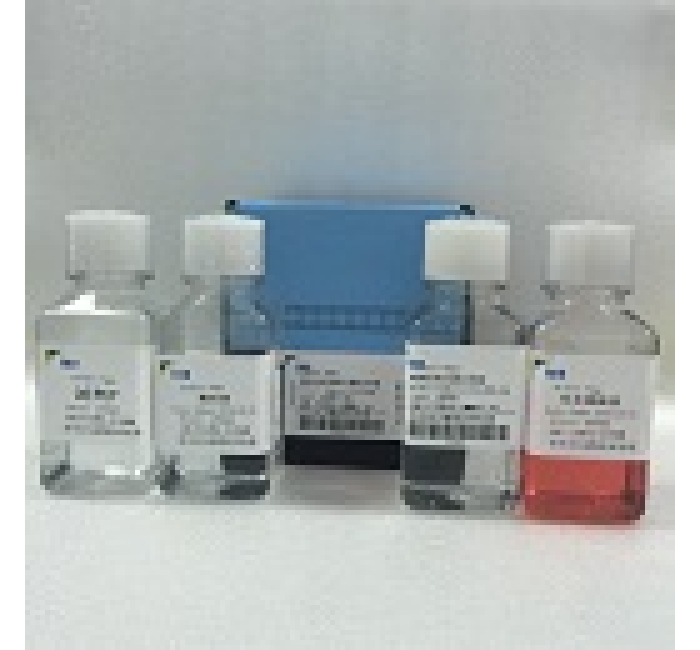 LTS1110PK 猪脾脏淋巴细胞分离液试剂盒